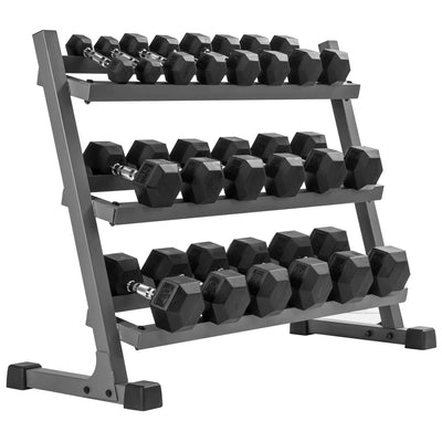 550 lb Dumbbell Set and Rack